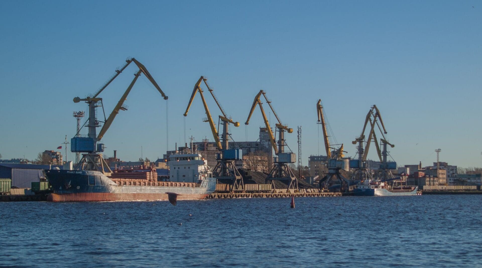 Kräne und Container in einem Hafen bei Sonnenschein